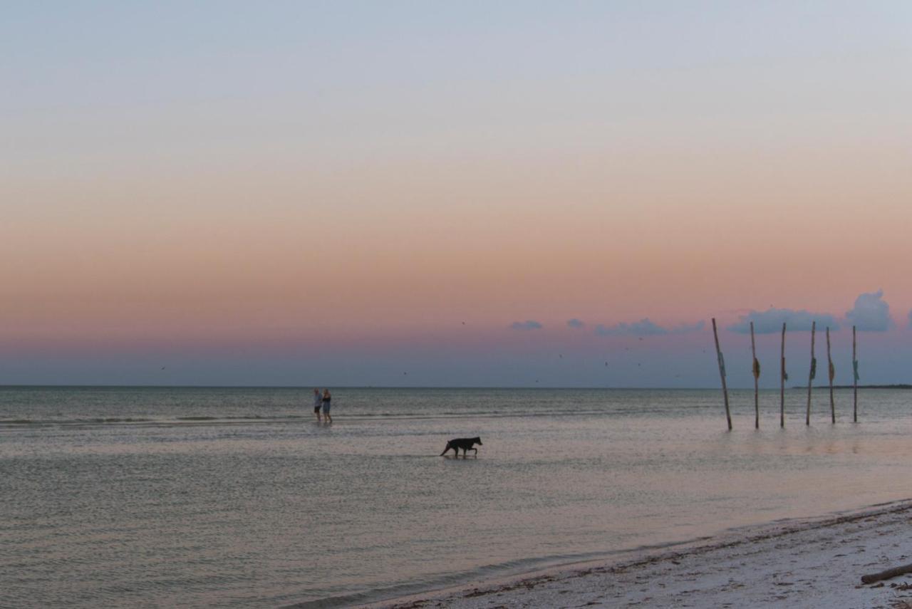 Blue Holbox Hotel Ngoại thất bức ảnh